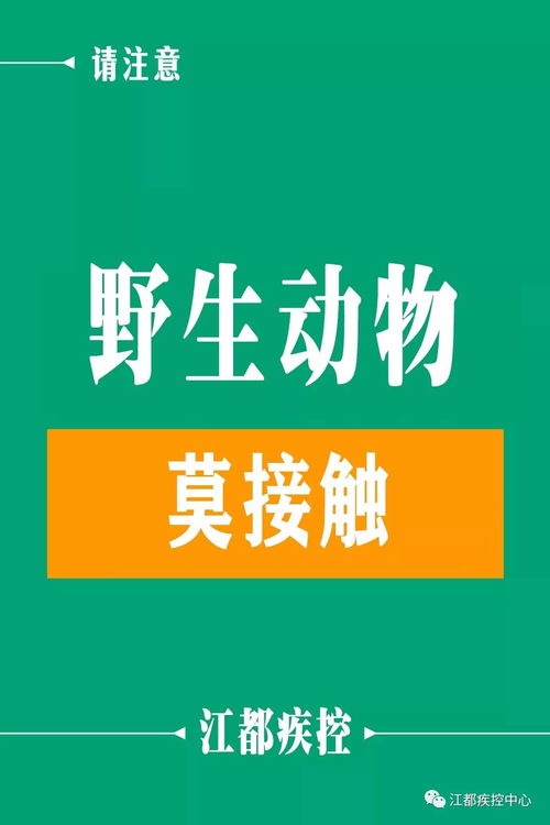 江都疾控新春健康提示 健康過新年，熱線伴您行